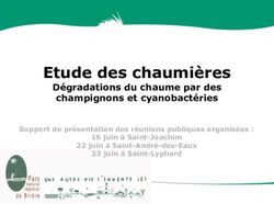 Etude des chaumi&egrave;res D&eacute;gradations du chaume par des champignons et cyanobact&eacute;ries