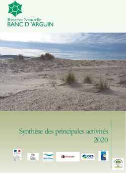 Synth&egrave;se des principales activit&eacute;s 2020 - Sepanso