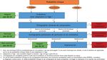 Recommandations de bonne pratique pour la prise en charge de la maladie veineuse thromboembolique chez l'adulte. Version courte