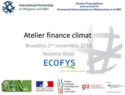Atelier finance climat - Bruxelles 1er novembre 2014 Noémie Klein