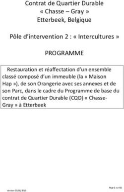 PROGRAMME Contrat de Quartier Durable " Chasse - Gray " Etterbeek, Belgique Pôle d'intervention 2 : " Intercultures "