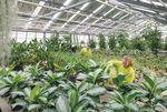 HOTSPOT La biodiversit&eacute; au quotidien - 39 | 2019 - Sciences naturelles Suisse