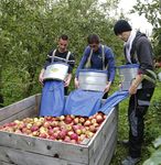 PLAN DE DEVELOPPEMENT - DE L'AGRICULTURE BIOLOGIQUE EN HAUTS-DE-FRANCE 2017 2021 - DRAAF Hauts-de-France
