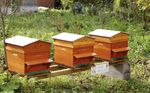 PLAN DE DEVELOPPEMENT - DE L'AGRICULTURE BIOLOGIQUE EN HAUTS-DE-FRANCE 2017 2021 - DRAAF Hauts-de-France