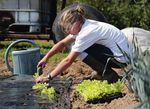 PLAN DE DEVELOPPEMENT - DE L'AGRICULTURE BIOLOGIQUE EN HAUTS-DE-FRANCE 2017 2021 - DRAAF Hauts-de-France