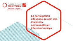 La participation citoyenne au sein des instances communales et intercommunales