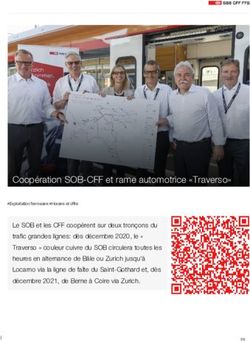 Coop&eacute;ration SOB-CFF et rame automotrice "Traverso" - SBB News