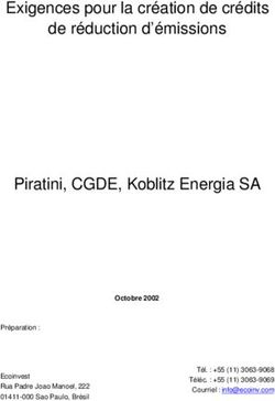 Exigences pour la création de crédits de réduction d'émissions - Piratini, CGDE, Koblitz Energia SA