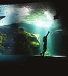 COMPRENDRE L'OCÉAN 365 JOURS / AN - Réservez votre voyage : www.aquarium-larochelle.com - Aquarium La Rochelle