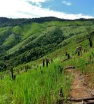 District de Viengkham, Province de Luang Prabang, RDP Laos - Agrisud International