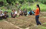 District de Viengkham, Province de Luang Prabang, RDP Laos - Agrisud International
