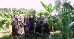 District de Viengkham, Province de Luang Prabang, RDP Laos - Agrisud International
