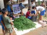 District de Viengkham, Province de Luang Prabang, RDP Laos - Agrisud International
