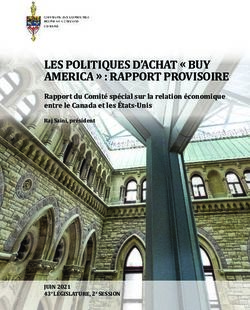 LES POLITIQUES D'ACHAT " BUY AMERICA " : RAPPORT PROVISOIRE - Rapport du Comité spécial sur la relation économique entre le Canada et les États-Unis