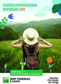 RESPONSABLE 2019 - RAPPORT ARTICLE 173 - VI de la loi transition énergétique et croissance verte - Climate Transparency Hub