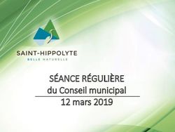 S&Eacute;ANCE R&Eacute;GULI&Egrave;RE du Conseil municipal 12 mars 2019 - Saint-Hippolyte