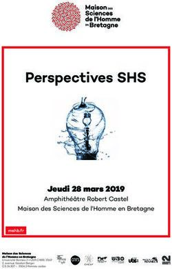 Perspectives SHS - Jeudi 28 mars 2019 Amphithéâtre Robert Castel Maison des Sciences de l'Homme en Bretagne - mshb