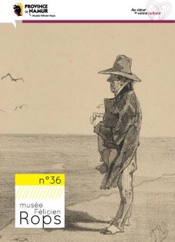 N 36 - Musée Félicien Rops