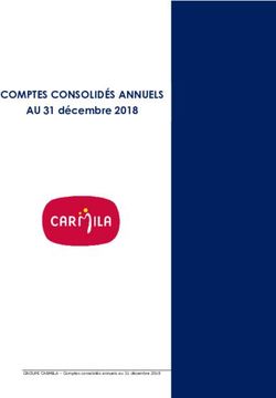 COMPTES CONSOLIDÉS ANNUELS - AU 31 décembre 2018