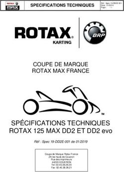 Sp Cifications Techniques Rotax Max Dd Et Dd Evo Rotax Kart