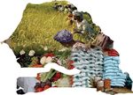 STRATEGIE NATIONALE DE SECURITE ALIMENTAIRE ET DE RESILIENCE - (SNSAR) 2015-2035 PRIMATURE