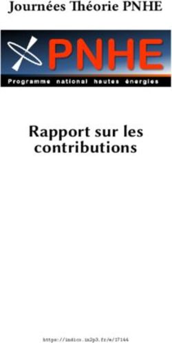 Rapport sur les contributions - Journées Théorie PNHE