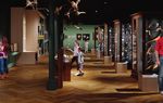 LES RENDEZ- VOUS - OCTOBRE / D&Eacute;CEMBRE - PROGRAMMATION CULTURELLE ARCHITECTURE ET PATRIMOINE - Strasbourg.eu