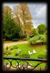 Château Corneille Restaurant La Closerie - Un séminaire productif - Château Corneille