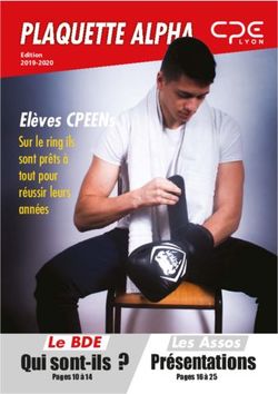 PLAQUETTE ALPHA - Présentations - CPE Lyon