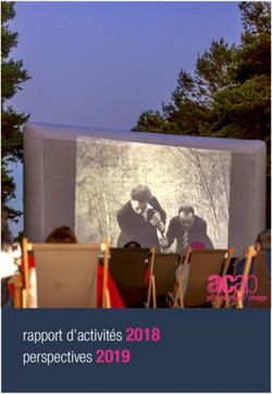 Rapport d'activités 2018 perspectives 2019 - BQ