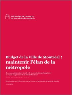 Maintenir l'élan de la métropole - Budget de la Ville de Montréal : CCMM