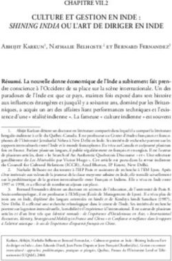 Shining india ou l'art de diriger en inde - Culture et gestion en inde