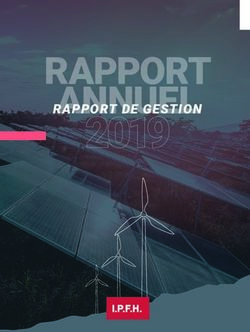 RAPPORT DE GESTION - Ville de Fleurus