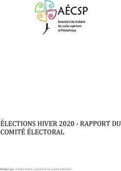 ÉLECTIONS HIVER 2020 - RAPPORT DU COMITÉ ÉLECTORAL - aécsp