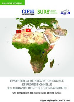 FAVORISER LA RÉINTÉGRATION SOCIALE ET PROFESSIONNELLE DES MIGRANTS DE RETOUR NORD-AFRICAINS - Une comparaison des cas du Maroc et de la Tunisie ...