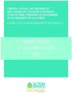 2019 Premiers r&eacute;sultats de la recherche-action - CAPITAL SOCIAL DES ENFANTS ET DES JEUNES EN VILLAGES D'ENFANTS ET EN FOYERS, PENDANT LE PLACEMENT ...