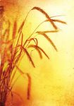Faire de l'Afrique un continent tourn&eacute; vers - N SPECIAL / AVRIL 2011 - Industrie et des Mines