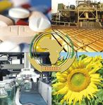 Faire de l'Afrique un continent tourn&eacute; vers - N SPECIAL / AVRIL 2011 - Industrie et des Mines