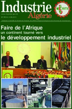 Faire de l'Afrique un continent tourné vers - N SPECIAL / AVRIL 2011 - Industrie et des Mines