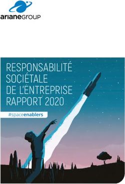 RESPONSABILITÉ SOCIÉTALE DE L'ENTREPRISE RAPPORT 2020