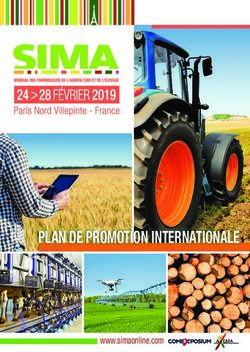PLAN DE PROMOTION INTERNATIONALE - www.simaonline.com