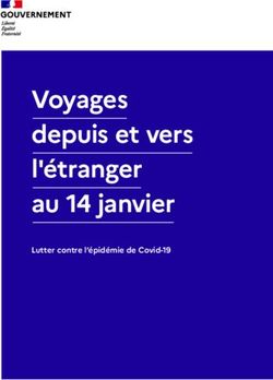 Voyages depuis et vers l'&eacute;tranger au 14 janvier - Lutter contre l'&eacute;pid&eacute;mie de Covid-19 - Minist&egrave;re de l ...