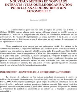 NOUVEAUX METIERS ET NOUVEAUX ENTRANTS : VERS QUELLE ORGANISATION POUR LE CANAL DE DISTRIBUTION AUTOMOBILE ?