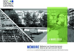 Mémoire " MARS 2019 Réflexion sur l'avenir du terrain situé au 50-150 Louvain Ouest - District Central