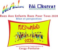 Rues Aux Enfants Rues Pour Tous 2020 - Bilan et perspectives - Cergy-Pontoise - Nil Obstrat