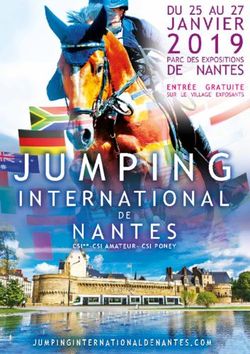 D E CSI**-CSI AMATEUR- CSI PONEY - Jumping international de Nantes