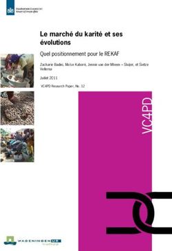 Le march&eacute; du karit&eacute; et ses &eacute;volutions - Quel positionnement pour le REKAF Zacharie Badini, Mo&iuml;se Kabor&eacute;, Jennie van der Mheen - Sluijer, et Sietze ...