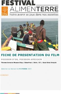 FICHE DE PR&Eacute;SENTATION DU FILM - POISSON D'OR, POISSON AFRICAIN