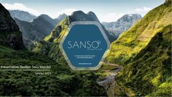 Pr&eacute;sentation Gestion Sous Mandat Janvier 2021 - Sanso IS