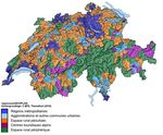 Travail de fin d'&eacute;tude - UZH